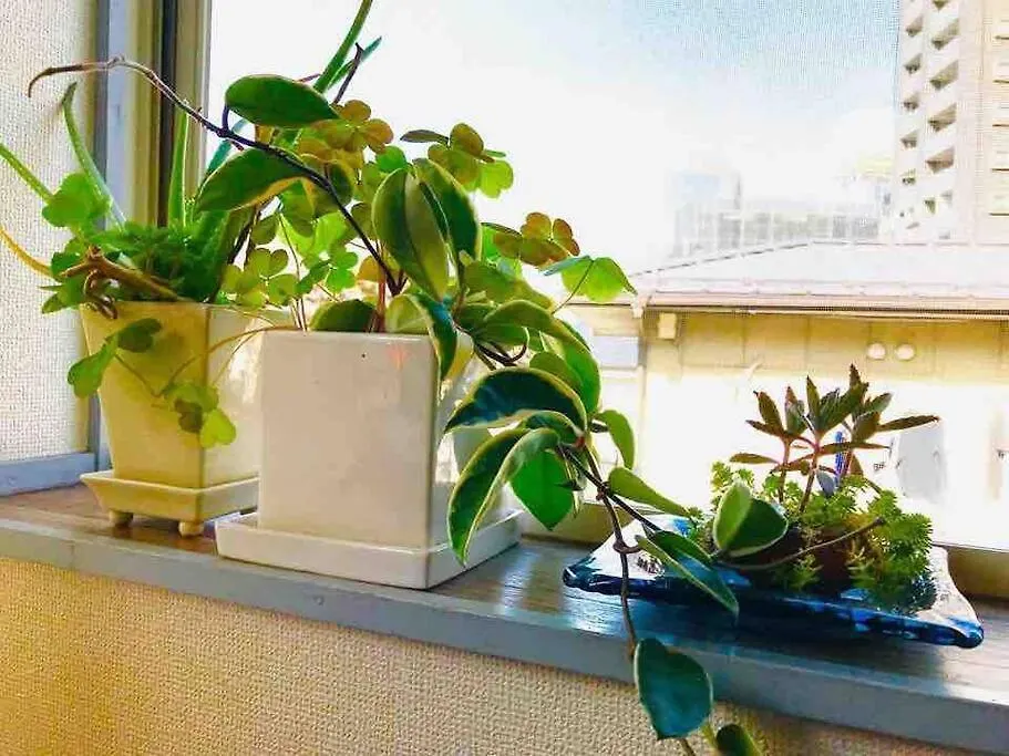 Beautiful, Sunny, & Quiet Apt Close To Metro 201 Tokyo 0*,  Japan