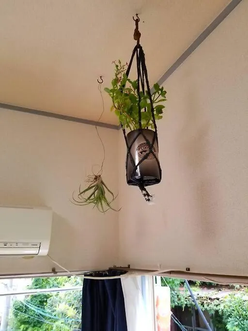 Beautiful, Sunny, & Quiet Apt Close To Metro 201 Tokyo 0*,